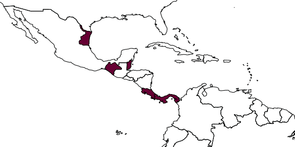 map of Messatoporus maculipes     Kasparyan & Ruíz, 2005